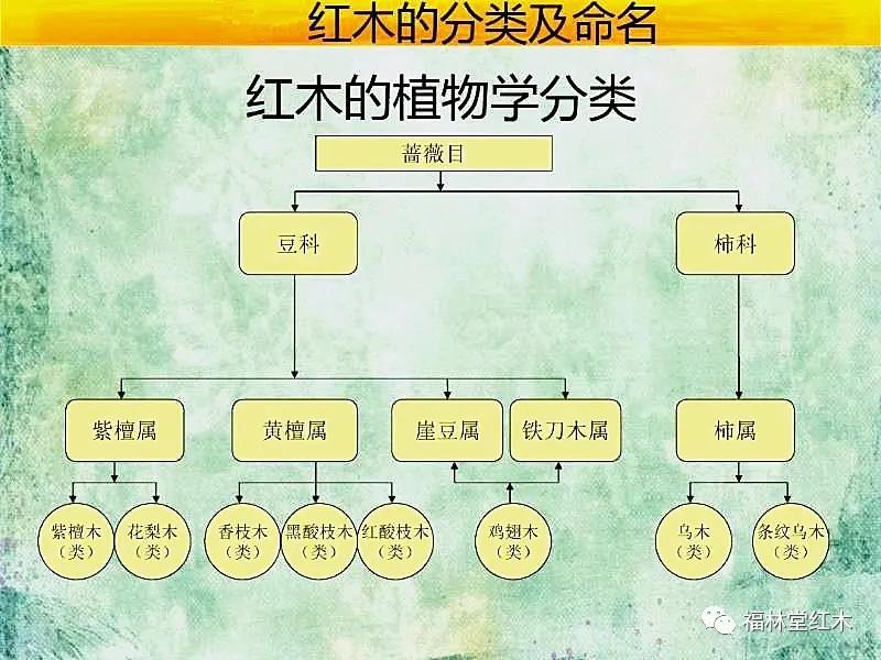 首页 新闻动态 红木家具用材的五属八大类介绍表 界门纲目科属种关于